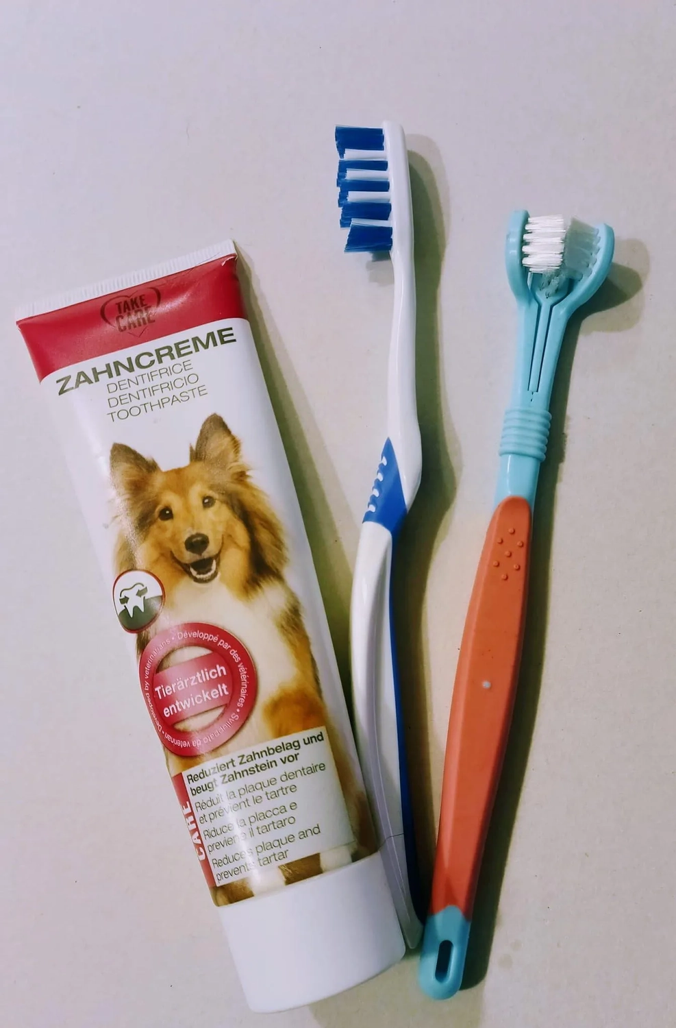 Dogs happy&calm - Hundetraining - Zahnpasta und Zahnbürsten für Hunde